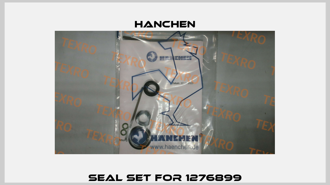 Seal set for 1276899 Hanchen