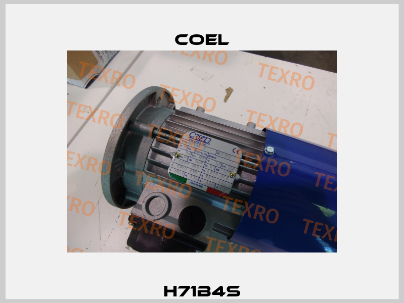 H71B4S Coel