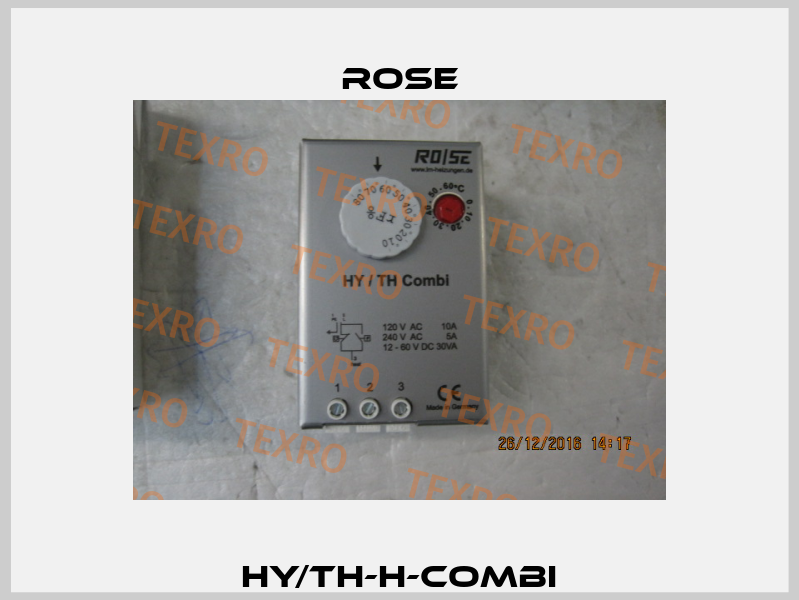 HY/TH-H-Combi Rose