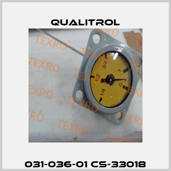 031-036-01 CS-33018 Qualitrol