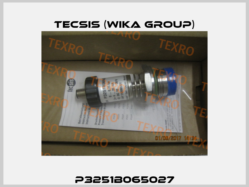 P3251B065027 Tecsis (WIKA Group)