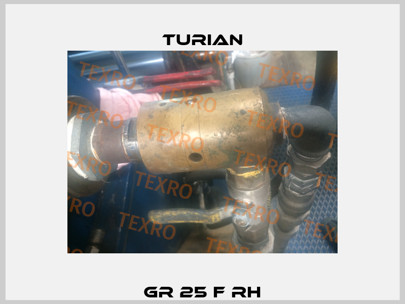 GR 25 F RH Turian