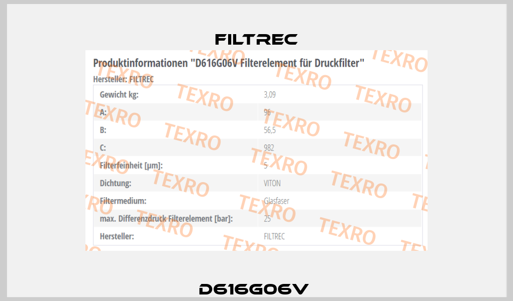 D616G06V  Filtrec