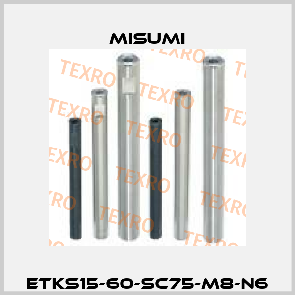 ETKS15-60-SC75-M8-N6 Misumi