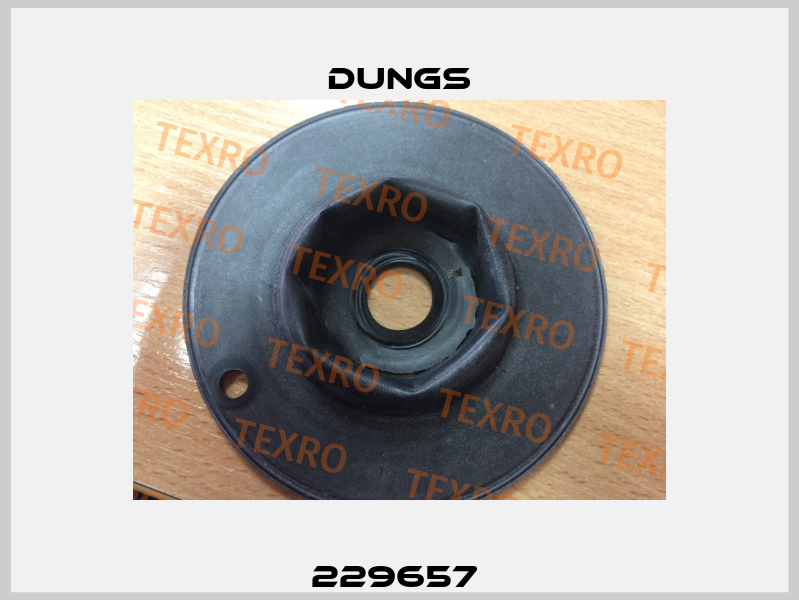 229657  Dungs