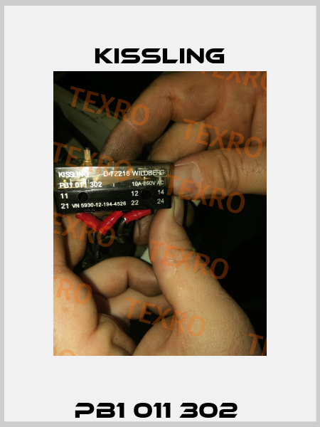 PB1 011 302  Kissling