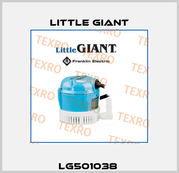 LG501038  Little Giant