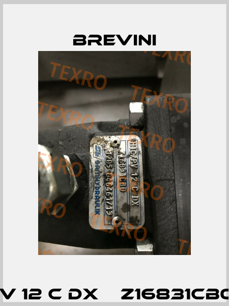 H1C/PV 12 C DX    Z16831CB0 OEM Brevini