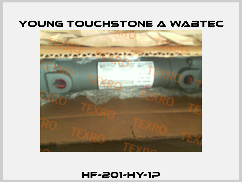 HF-201-HY-1P Young Touchstone A Wabtec
