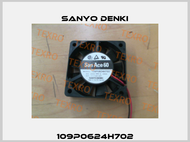 109P0624H702 Sanyo Denki