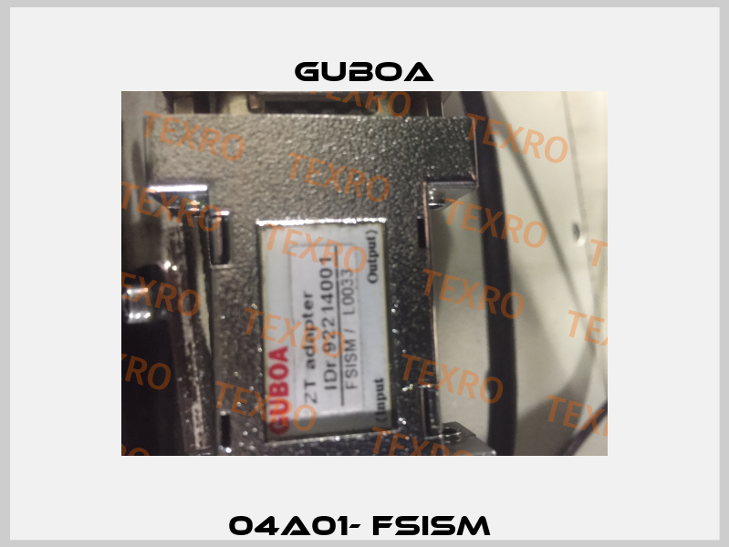 04A01- FSISM  Guboa