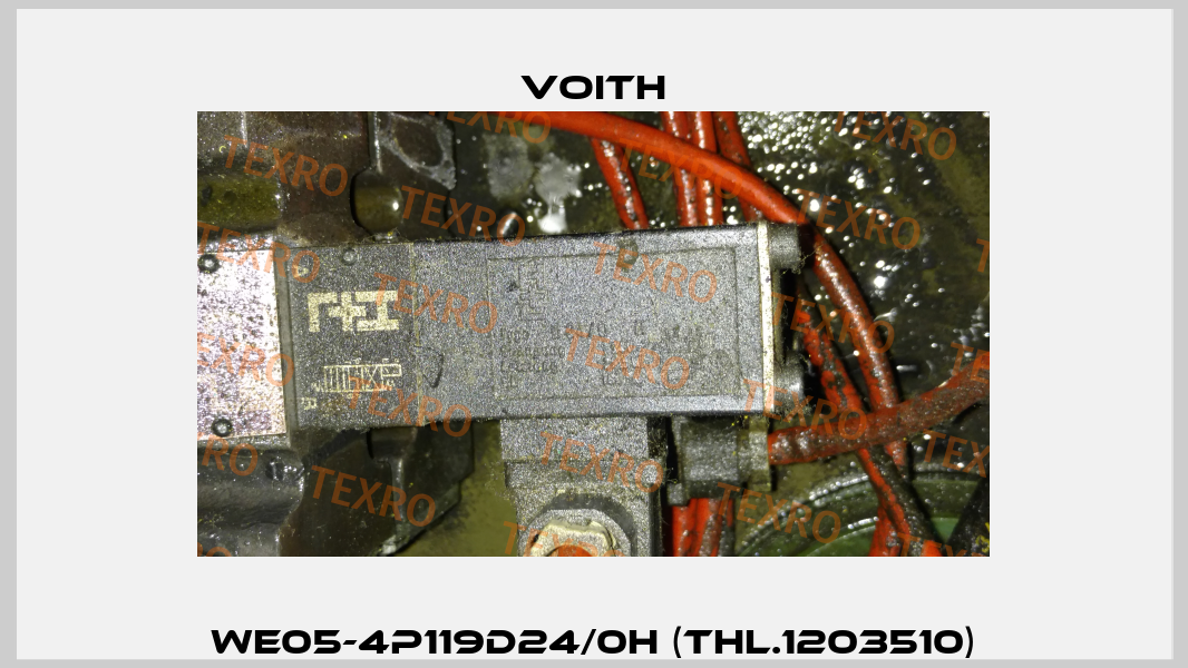 WE05-4P119D24/0H (THL.1203510) Voith