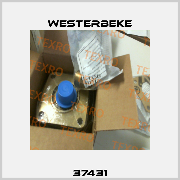 37431 Westerbeke