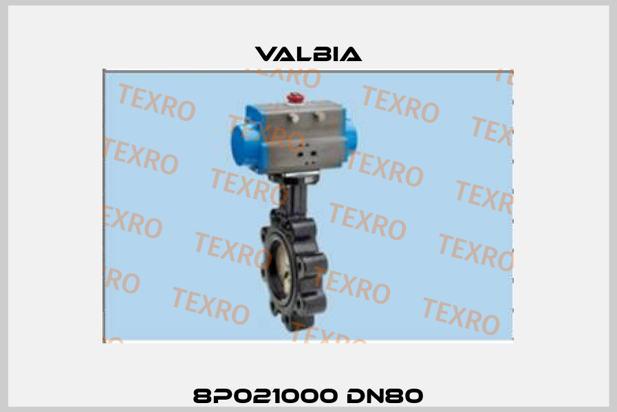 8P021000 DN80 Valbia