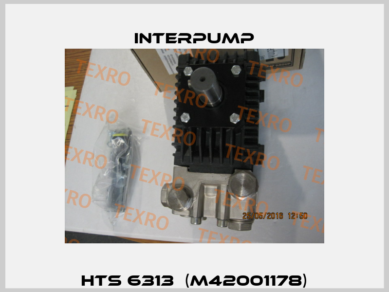 HTS 6313  (M42001178) Interpump