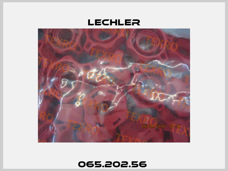 065.202.56  Lechler