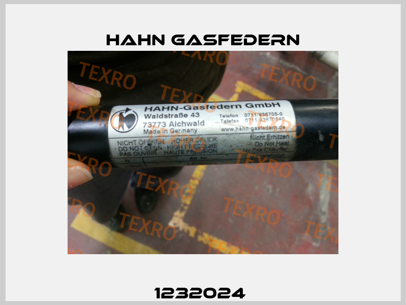 1232024  Hahn Gasfedern