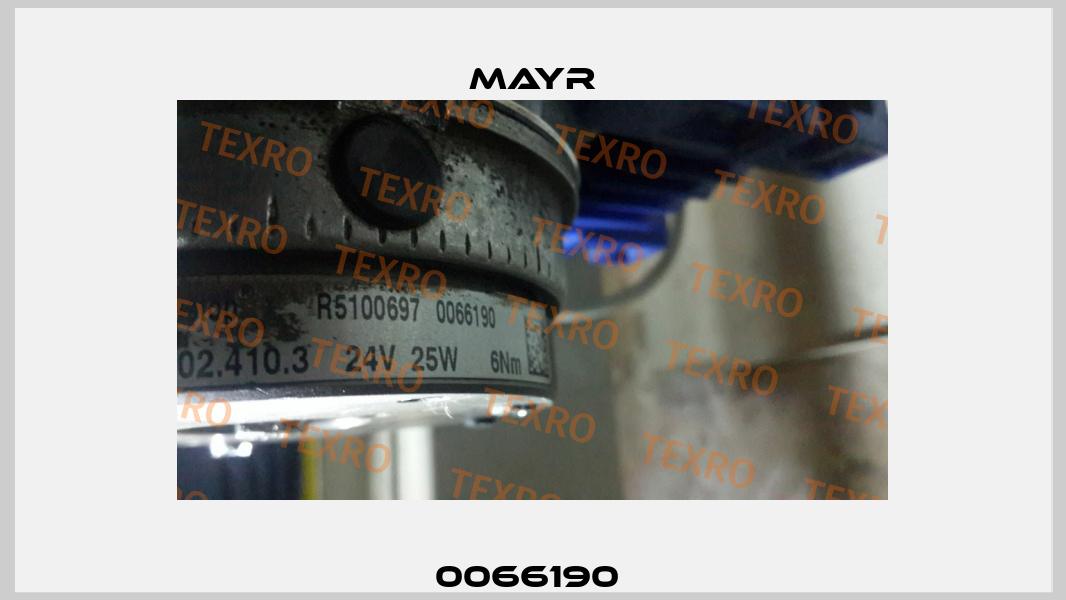 0066190  Mayr