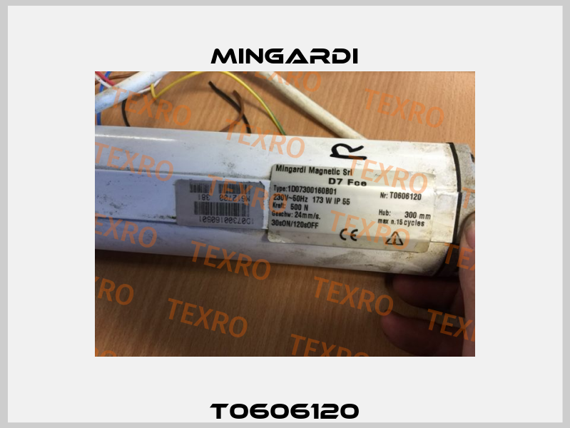 T0606120 Mingardi