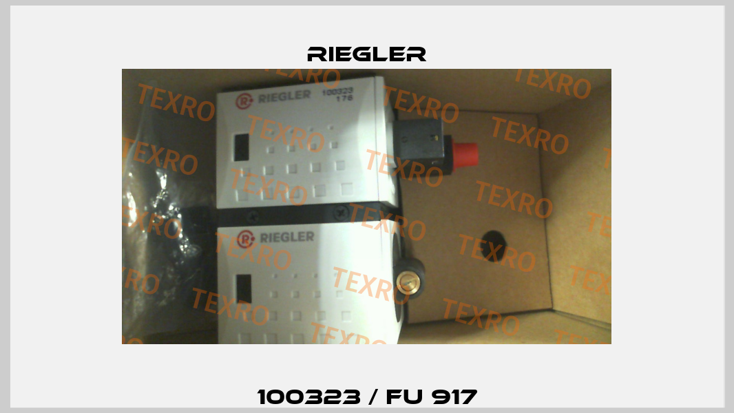 100323 / FU 917 Riegler