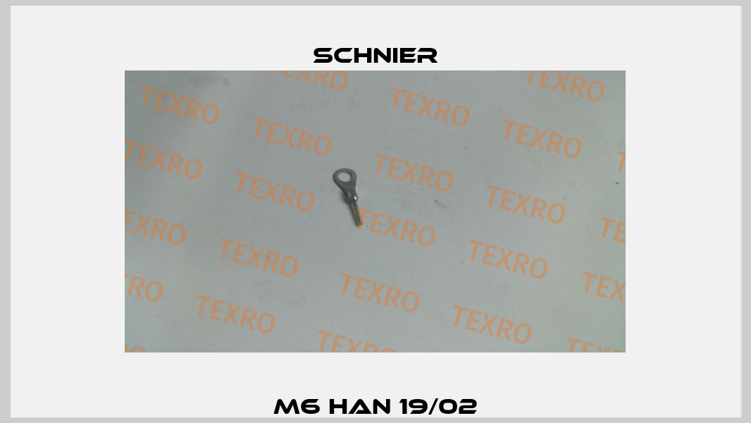 M6 HAN 19/02 SCHNIER