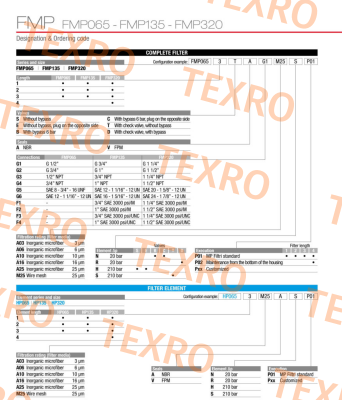 FMP-320-2-S-A-G1-A03-H-P01 MP Filtri