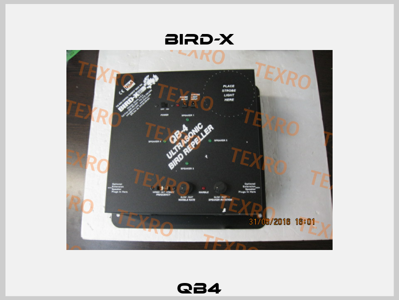 QB4 Bird-X