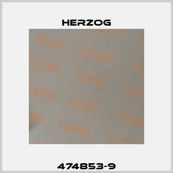 474853-9 Herzog