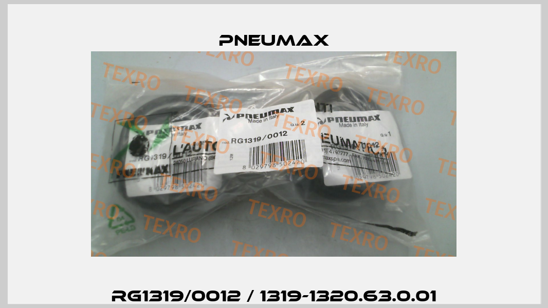 RG1319/0012 / 1319-1320.63.0.01 Pneumax