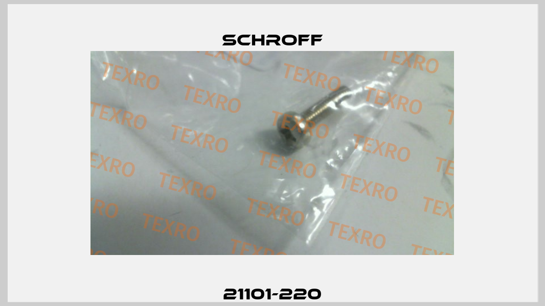 21101-220 Schroff