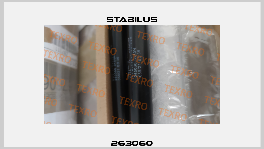 263060 Stabilus