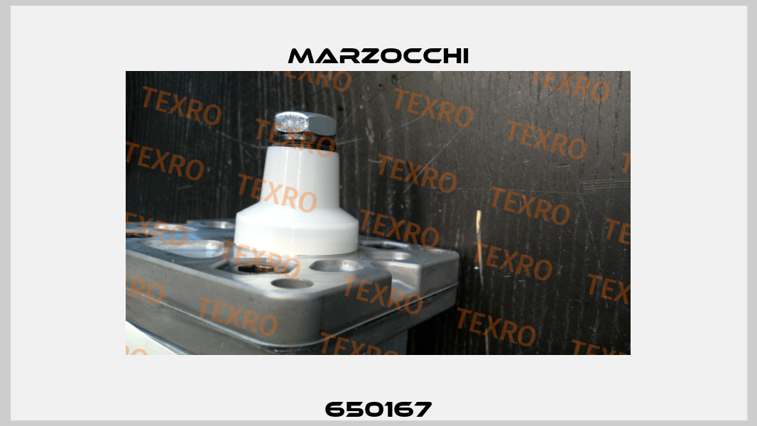 650167 Marzocchi
