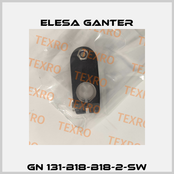 GN 131-B18-B18-2-SW Elesa Ganter