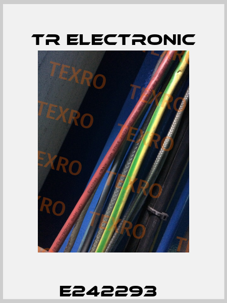 E242293   TR Electronic